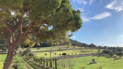 Rustic house in Algaida photo 15