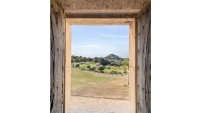 Rustic house in Algaida photo 10