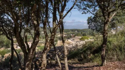 Rustic house in Algaida photo 14