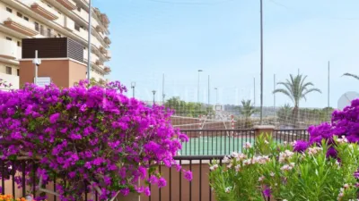 Piso en Los Arenales del Sol photo 20