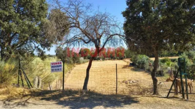 Rustic farm in Saucedilla photo 2