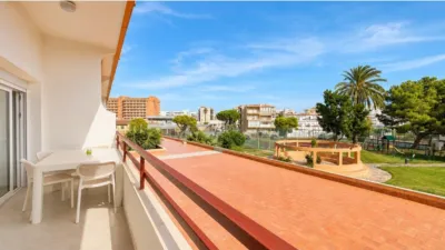 Apartment in Santa Margarida photo 3