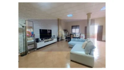 House in the Centre photo 2