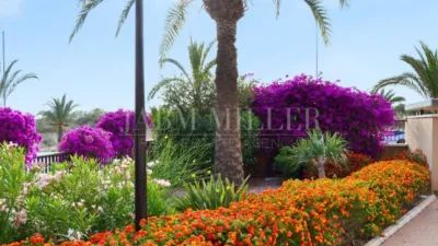 Piso en Los Arenales del Sol photo 17