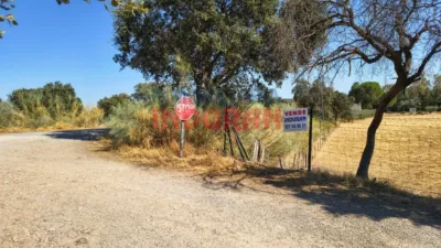 Rustic farm in Saucedilla photo 4