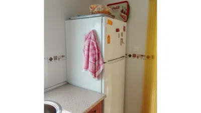 Miniatura 10
