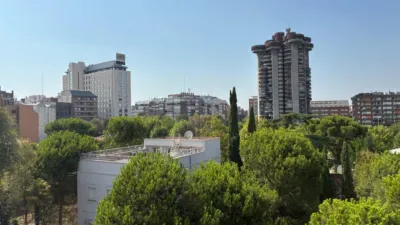 Apartment in the Salamanca District photo 11