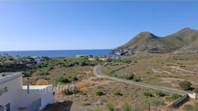 Apartment in Cabo de Palos photo 27