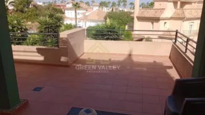 Apartment in Alcaide photo 15