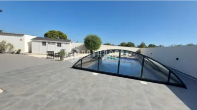 House in L'Altet-Els Bassars photo 6