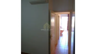 Apartment in Alcaide photo 27