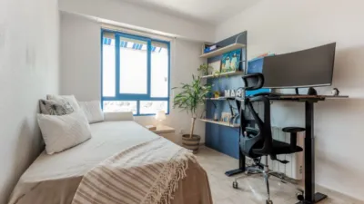 Apartment in Platja Muchavista photo 14