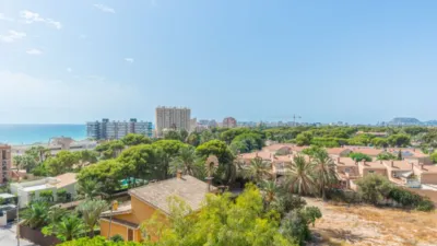 Apartment in Platja Muchavista photo 32