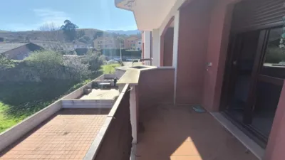 Apartment in Allende (Vibaño) photo 21