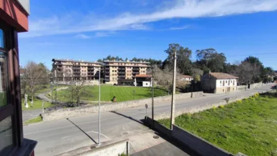 Apartment in Allende (Vibaño) photo 17
