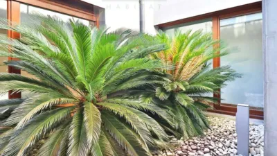 Duplex in Hondarribia photo 33