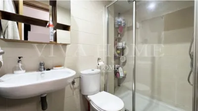Apartment in Ambroz photo 15