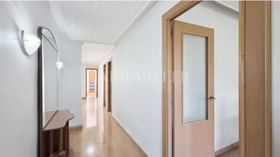 Apartment in Monforte del Cid photo 20