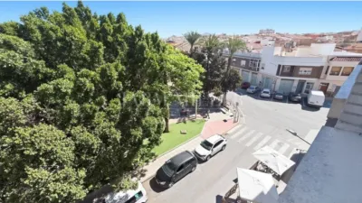 Apartment in Monforte del Cid photo 15