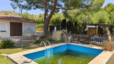 Rustic Finca in Petrer photo 2