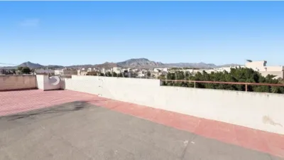 Apartment in Monforte del Cid photo 23
