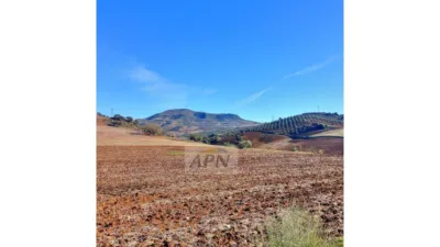 Finca rústica en Álora photo 14