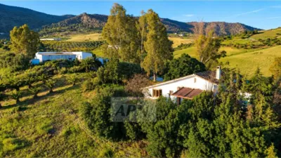 Rustic farm in Álora photo 5