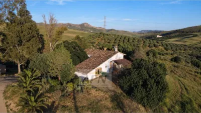 Finca rústica en Álora photo 7