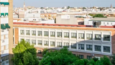 Apartment in Triana photo 19