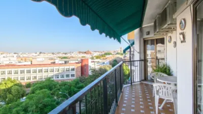 Apartment in Triana photo 16