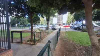 Apartment in Norte photo 17