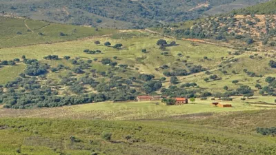 Rustic farm on Calle Poligono 3 Paraje 94 Quejigoso photo 2