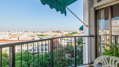 Apartment in Triana photo 18