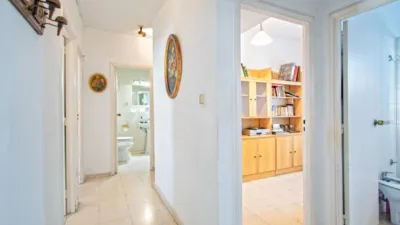 Apartment in Triana photo 23