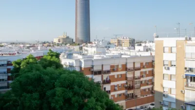 Apartment in Triana photo 21