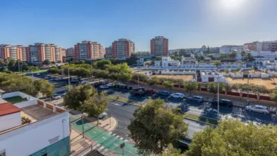 Apartment in Bellavista photo 2