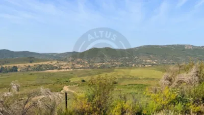 Rustic farm on Calle Poligono 3 Paraje 94 Quejigoso photo 14