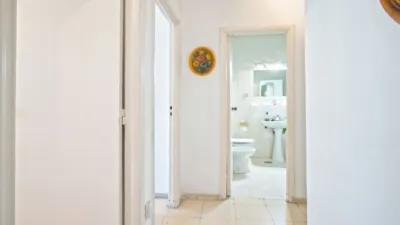 Apartment in Triana photo 28