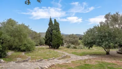 Rustic house in Pollença photo 12