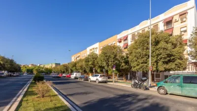 Apartment in Bellavista photo 3