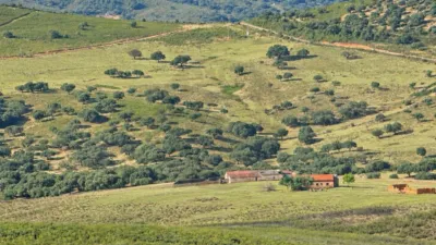Rustic farm on Calle Poligono 3 Paraje 94 Quejigoso photo 5