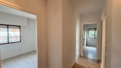 Apartment in Collado Mediano photo 21