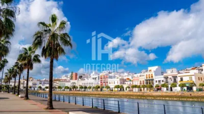 Apartment in Costa Esuri Area photo 21