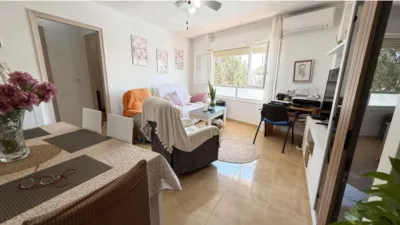 Apartment in Acequión-Los Naúfragos photo 3