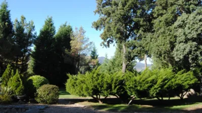 Chalet in Los Ángeles de San Rafael photo 15