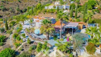 Villa for sale in Algarrobo photo 54