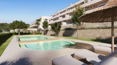 Pis – Orihuela - Vista 2