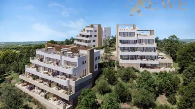 Piso – Orihuela - Vista 3
