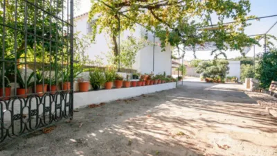Rustic Finca in Coín photo 4