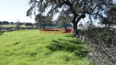Rustic farm in Valdehúncar photo 15